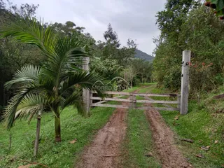 Uma estrada de terra leva a um portão de madeira em uma área com vegetação exuberante.