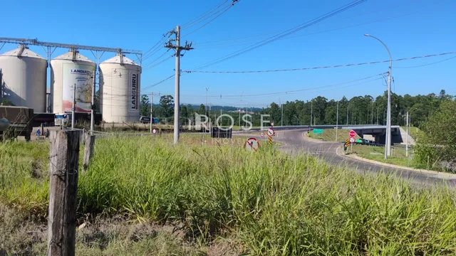 Terreno