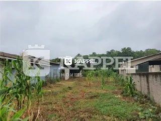 Vista externa mostrando vegetação alta em uma área do terreno.