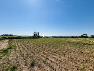 Área rural com 4 dormitórios, foto 31