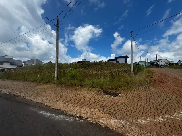 Terreno, foto 3