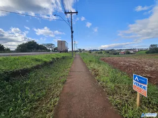 Terreno, foto 6