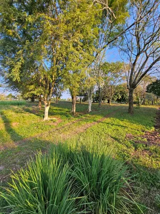 Área rural com 2 dormitórios, foto 18