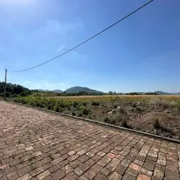 Vista de um caminho pavimentado de tijolos em uma área externa.