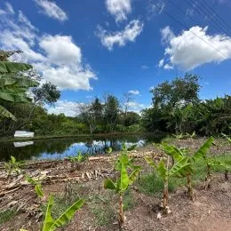 Área rural com 3 dormitórios, foto 7