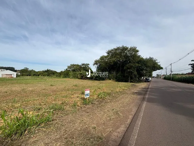 Campo gramado ao lado de uma estrada rural.