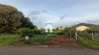 Terreno, foto 2