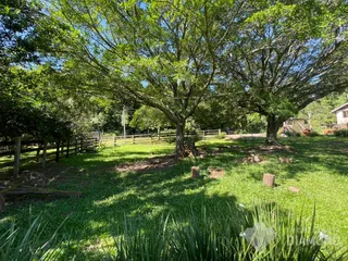 Área rural com 3 dormitórios, foto 5