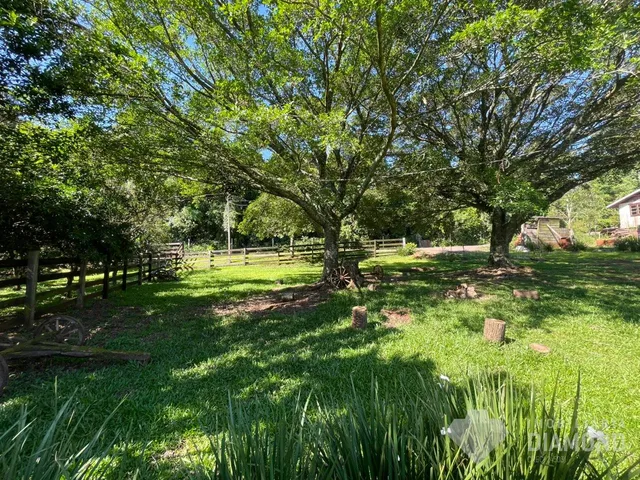 Área rural com 3 dormitórios, foto 5