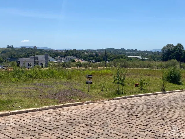 Terreno, foto 5