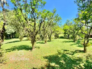 Vista de um jardim verde com árvores em um dia ensolarado.
