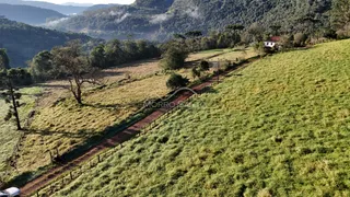 Paisagem de colinas verdes com uma estrada de terra em Lajeado, Brasil.