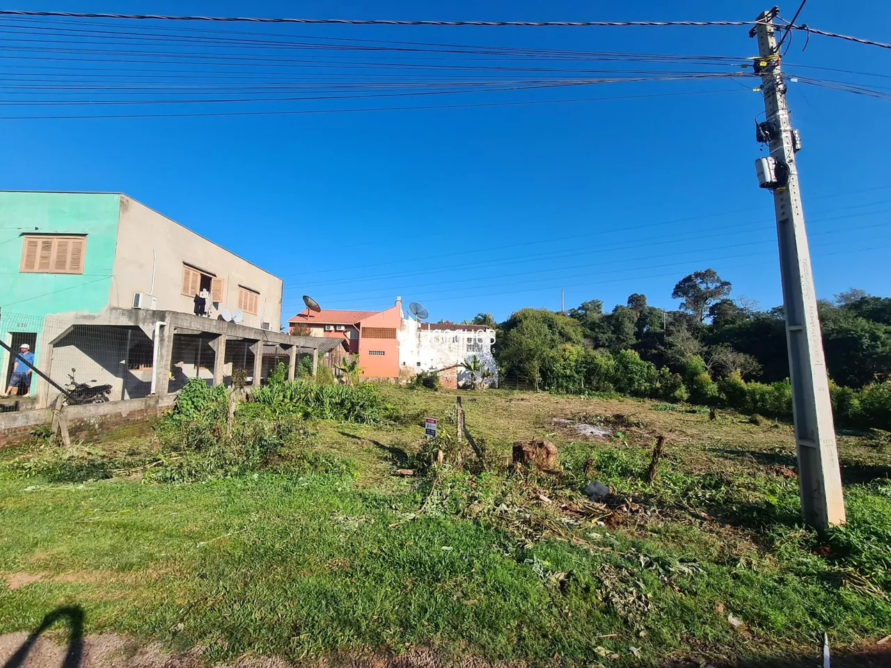 Vista externa de uma propriedade com terreno gramado e vegetação densa.