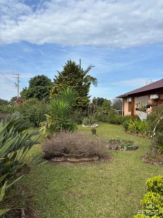 Foto de um jardim com gramado verde e vegetação tropical.