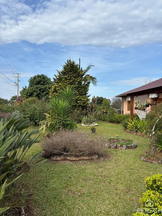 Foto de um jardim com gramado verde e vegetação tropical.