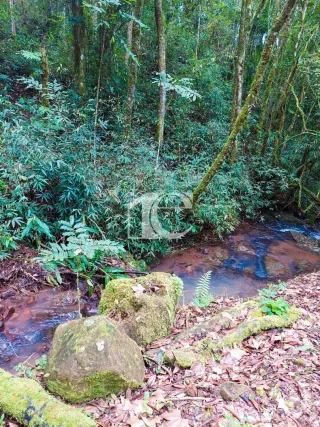 Área rural, foto 10