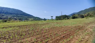 Área rural, foto 3