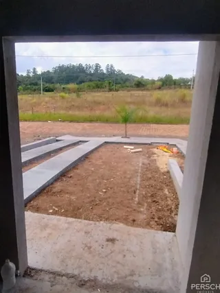 Vista de um terreno aberto com terra e um pequeno arbusto.