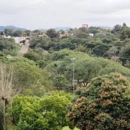 Vista da vegetação densa em Lajeado, Brasil.
