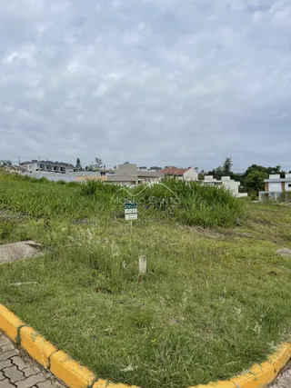 Vista externa de um terreno com grama alta e vegetação no fundo.