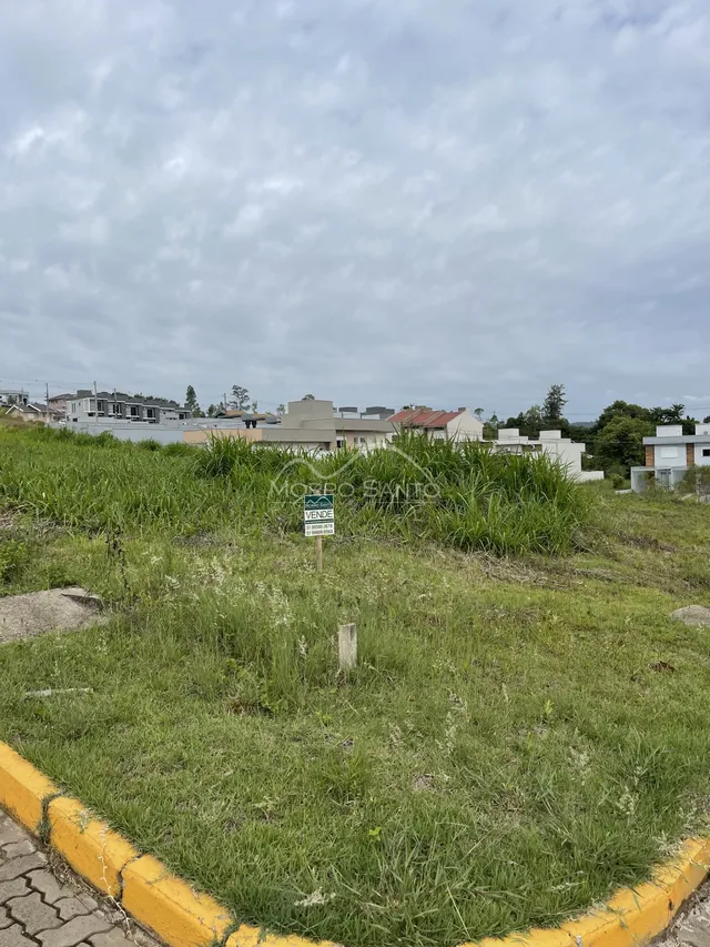 Vista externa de um terreno com grama alta e vegetação no fundo.