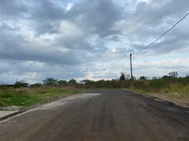 Uma estrada de terra atravessa uma área com vegetação ao lado.