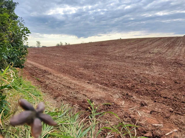 Terreno, foto 2
