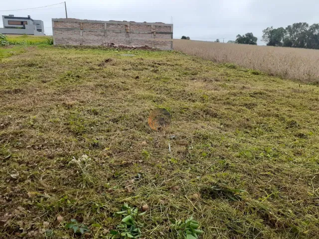Terreno, foto 2