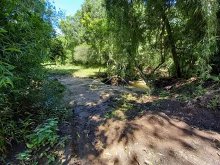 Caminho de terra com vegetação densa ao redor em uma área externa.