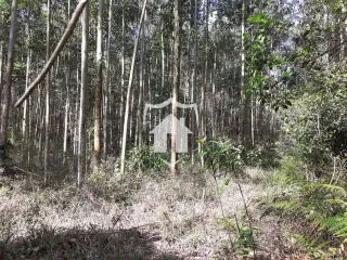 Área rural, foto 3