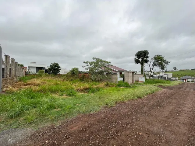 Terreno, foto 3