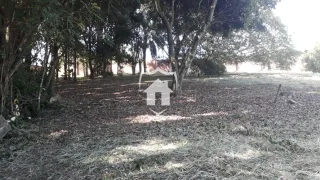 Terreno, foto 6
