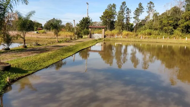 Vista de um corpo d'água com vegetação nas margens.