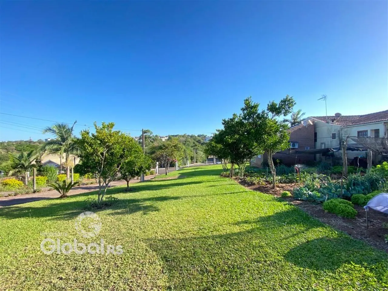 Vista externa de um jardim verde com árvores e gramado.