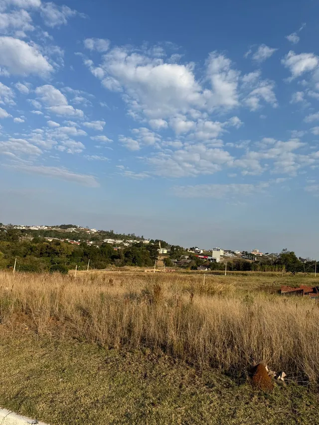 Terreno, foto 3