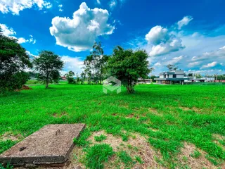 Paisagem de um terreno com gramado verde e árvores sob um céu azul.