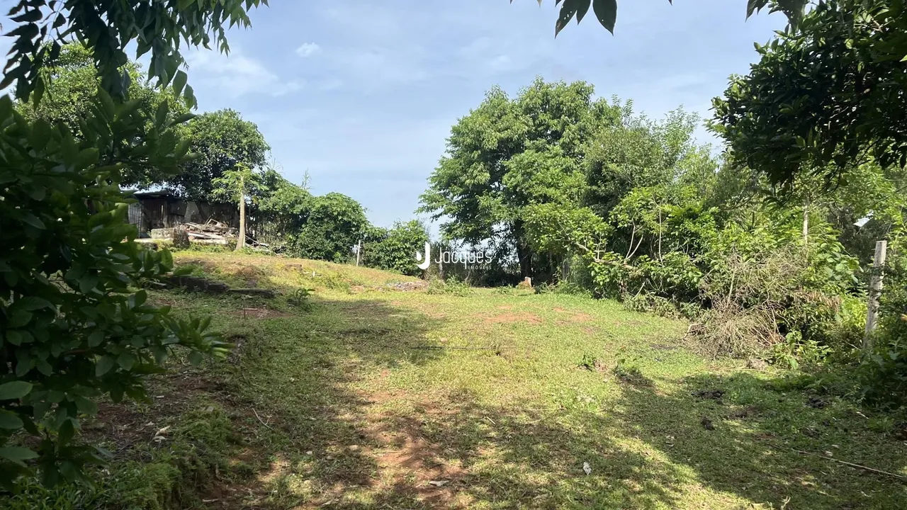 Paisagem de campo com vegetação densa e grama no primeiro plano.