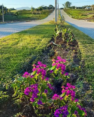 Terreno, foto 1