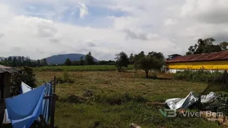 Área rural com 3 dormitórios, foto 8