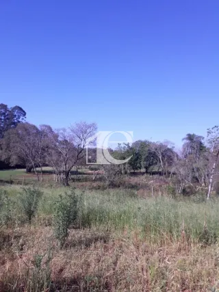 Área rural, foto 12