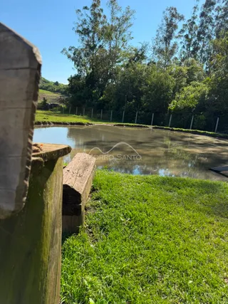 Vista de um corpo d'água cercado por grama verde e vegetação.