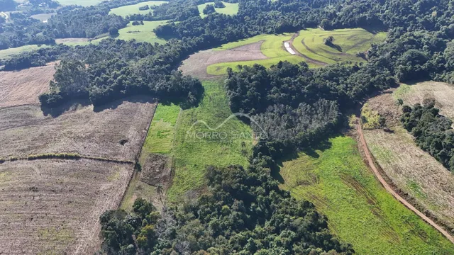 Vista aérea de uma paisagem rural com campos e vegetação densa.
