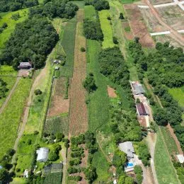 Área rural com 3 dormitórios, foto 3