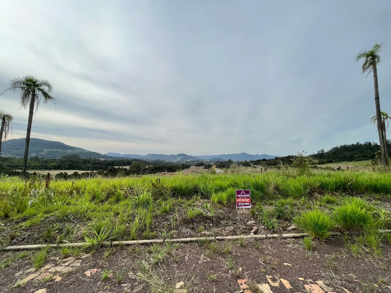Terreno, foto 1