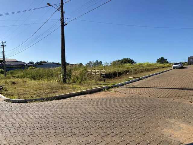 Vista da rua e vegetação ao lado de uma propriedade em Lajeado.