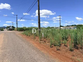 Terreno, foto 3