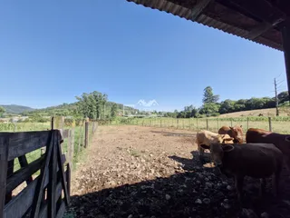 Área rural, foto 6