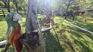 Área rural com 2 dormitórios, foto 21