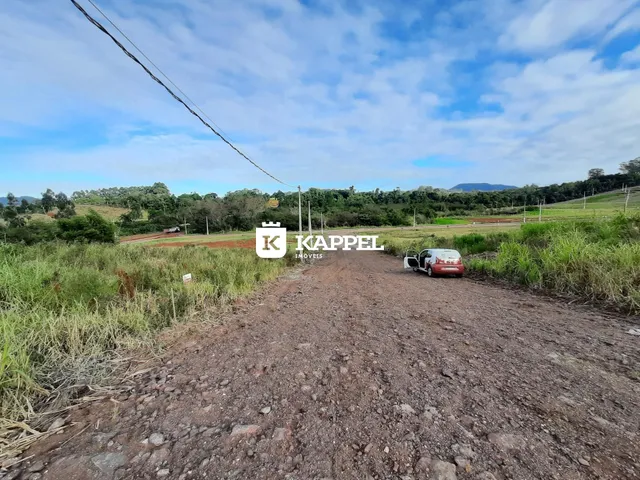 Vista de uma estrada de terra em uma área rural com vegetação alta.