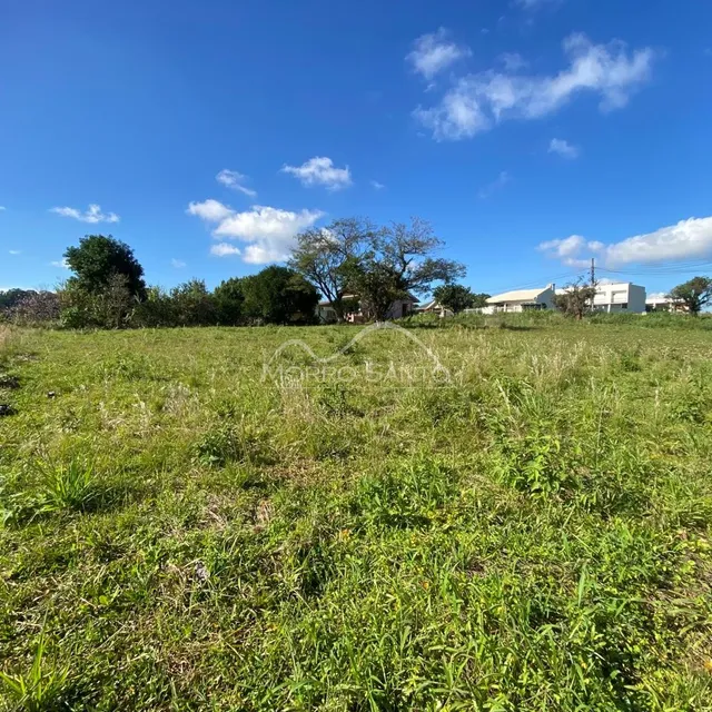 Vista de um campo aberto com vegetação verde sob um céu azul.